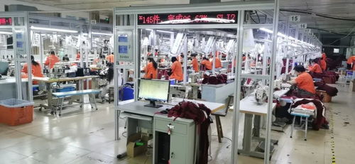 客服火線入職備戰天貓雙11，流水線24小時趕工，不夜廠點亮江蘇咨詢策劃服務